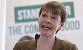 Celebrities sign statement of support for Caroline Lucas