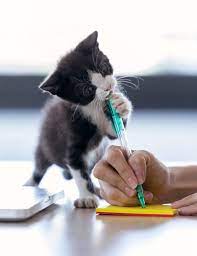 Labor Day Celebrate 8 Funny And Bizarre Working Cats Cattime Cats Beautiful Kittens Cute Cats