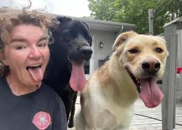 Hudson and Rex Event Photos