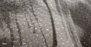 Ruyada Terlemek Ne Anlama Gelir Diyadinnet