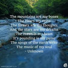 Comforting Poems For People Struggling The Mountains Are My Bones Forest Quotes Nature Quotes Thoughts