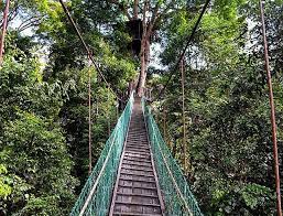 In 1981, together with danum valley, maliau basin was made a conservation area within the yayasan sabah's long term forest management plan, to remain unlogged for conservation, education, research and. At Maliau Basin Conservation Area In The Center Of Sabah You Are Sure To Experience One Of The Best Rainforest Adventures In Borneo Sabah Borneo Ecotourism