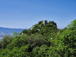 Umbria Archives - The Patroclus