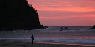 Hasil gambar untuk pulau merah banyuwangi