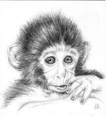 Pin By April Dikty Ordoyne On Monkeys Animal Drawings Sketches Monkey Art Animal Drawings