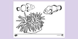 Grab your crayons and have fun going under the sea with 18 super cute ocean coloring pages for kids of all ages to color and explore aquatic animals. Free Black Sea Urchin Colouring Colouring Sheets
