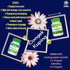 Congek Kuping Otitis Media Kuping Gaya Hidup Sehat Perasaan