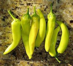 Check spelling or type a new query. Hungarian Wax Peppers All About Them Stuffed Peppers Hungarian Wax Peppers Stuffed Hot Peppers