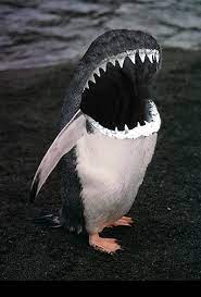 They look so real, great photoshop. Art Sci Wicked Photoshopped Animal Hybrids