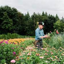 Check spelling or type a new query. Episode 446 Checking In With Melissa Feveyear Of Terra Bella Flowers Plus Kicking Off Our Stories Of Resilience Series With Celeste Monke Of Free Range Flowers Debra Prinzing