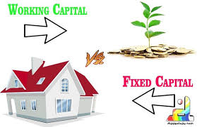 Difference Between Fixed Capital And Working Capital Capitals Venture Capital Different