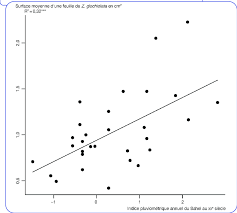 Image result for Zornia glochidiata