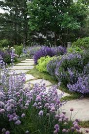 Gartenweg Ideen Mit Pflanzen Und Blumen Damit Der Weg Nach Hause Spannender Ist Garten Garten Pflanzen Garten Ideen