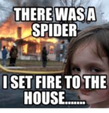 Saw a spider in my bathtub, so i got a piece of tissue and very, very carefully, burned burning house meme: There Wasa Spider Iset Fire Tothe House Similiar Meme Girl Burning House Keywords Fire Meme On Me Me