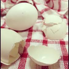 Maybe you would like to learn more about one of these? ØµÙˆØ± Ø¨ÙŠØ¶ Ù…Ø¶Ø­ÙƒØ©