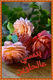 صور مساء الخير أجمل صور مساء الفل والياسمين والنور والعسل ويسعد مساكم Beautiful Flowers Pretty Flowers Beautiful Roses