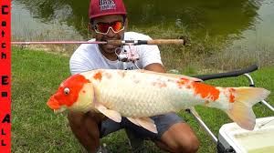 Check spelling or type a new query. How To Catch Koi Fish Youtube