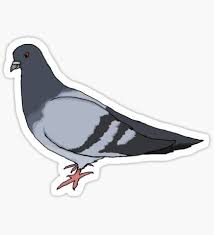 Birds Stickers Stickers Birds Things To Sell