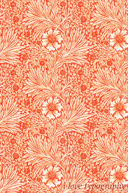 Daily so be sure to check back often. 50 Amazing Iphone Wallpapers