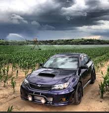 Subaru Subaru Wrx Wrx Subaru
