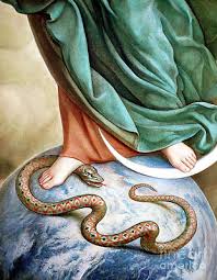 See more ideas about snake painting, snake, snake art. Snake Head Paintings Fine Art America