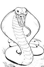 Coloring pages are fun for children of all ages and are a great educational tool that helps children develop fine motor skills, creativity and color recognition! King Cobra Hissing Coloring Pages Kids Play Color Snake Drawing Snake Art Snake Sketch