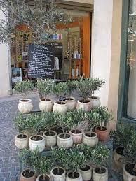 Pin On Provence