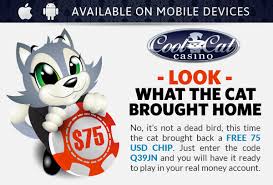Unless specifically stated otherwise, standard rules apply. Cool Cat Casino Online Bonus Codes