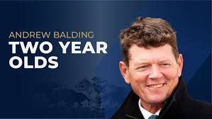 Dan Briden Two-Year-Old Guide: Andrew Balding
