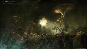 Wallpaper Forest Video Games The Elder Scrolls Online Jungle Mythology Darkness Screenshot Habitat Natural Environment Computer Wallpaper 1920x1080 Tomas692 178731 Hd Wallpapers Wallhere