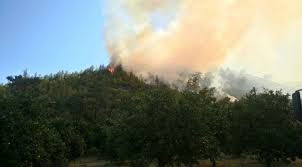 Ve antalya büyükşehir belediyesine ait 2 uçak, 7 helikopter, 40 arazöz, 4 dozer ile orman işçileri sevk edildi. Antalya Daki Orman Yangini Kontrol Altina Alindi Son Dakika Haberleri