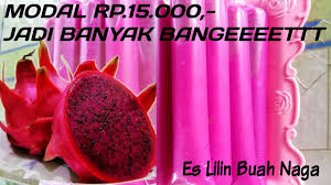8 sdm tepung tapioka, cairkan dengan sedikit air. Cara Membuat Es Lilin Buah Naga Merah Youtube