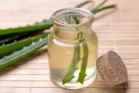 Dogal Aloe Vera Aloe Dogal Evde Hazirlabilen Ilaclar