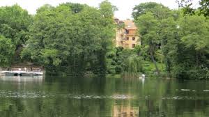 We did not find results for: Im Halensee Darf Ab Sofort Wieder Gebadet Werden Qiez