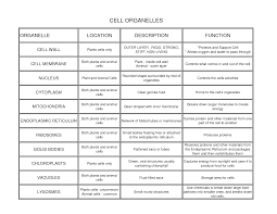 Cell Organelles Locations Description And Functions