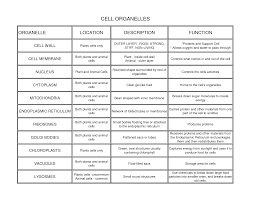 cell organelles locations description and functions