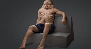 Humans (homo sapiens) are a species of highly intelligent primates. Designing A Crash Proof Human That Would Survive Any Car Accident Grillo Law