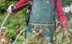 Wie Viel Gift Muss Man Hinnehmen Pflanzen Gartentipps Gartenarbeit