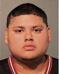 ᐅ Illinois Criminal Records 2009-2025