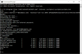 You can specify multiple files. Scripting And Task Automation Winscp