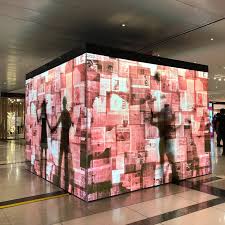 Make Sure To Catch Our Latest Installation The Bird Box In Partnership With In For The Release Of New Feature Starring Sandrab Bird Boxes Installation Birds