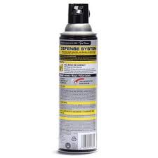 Raid Wasp Hornet Killer Spray Cvs Pharmacy