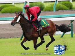 Buy one get one for $1: å°æž— Kobayashi A Twitteren å®å¡šè¨˜å¿µ ã«å‡ºèµ°äºˆå®šã®ãƒ¯ãƒ¼ã‚¶ãƒ¼ Werther å· é¦™æ¸¯ ã¯ 20æ—¥11æ™‚53åˆ†ã«é˜ªç¥žç«¶é¦¬å ´å›½éš›åŽ©èˆŽã¸åˆ°ç€ ä»Šæœ å†™çœŸ ã¯äºˆå®šé€šã‚ŠèŠã‚³ãƒ¼ã‚¹ã§èª¿æ•´ã•ã‚ŒãŸ å®å¡šè¨˜å¿µ ãƒ¯ãƒ¼ã‚¶ãƒ¼