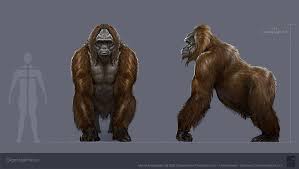 Gigantopithecid Jpg 1152 652 Animali Preistoria