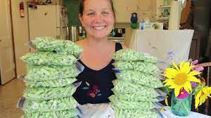 Freezing Green Beans Without Blanching Them First Garden Harvest Preservation Youtube