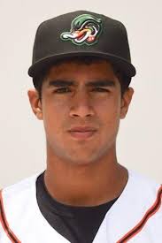 DEWDS Roster Preview: Who will Wood Ducks fans see to start the season?