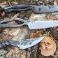 Intermediate Bladesmithing: Railroad Spike to Knife