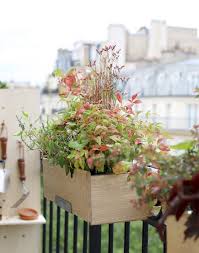 Les jours diminuent, les feuilles des arbres volent et changent de couleur, elles deviennent marron, resplendissent de beauté. Jardiniere En Bois Et Ses Fleurs De Saison