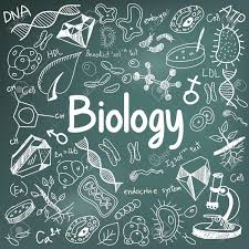 Worksheets are staar biology eoc, biology 10 day eo. Biology Eoc 540 S Hercules Ave Clearwater 8 May To 22 May