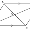 Memo for euclidean geometry pure maths matric south africa. Https Encrypted Tbn0 Gstatic Com Images Q Tbn And9gcsvxx5nivjmeav1u6j3kuf0hohba6iltsgxv6agcjrdixdad5t Usqp Cau